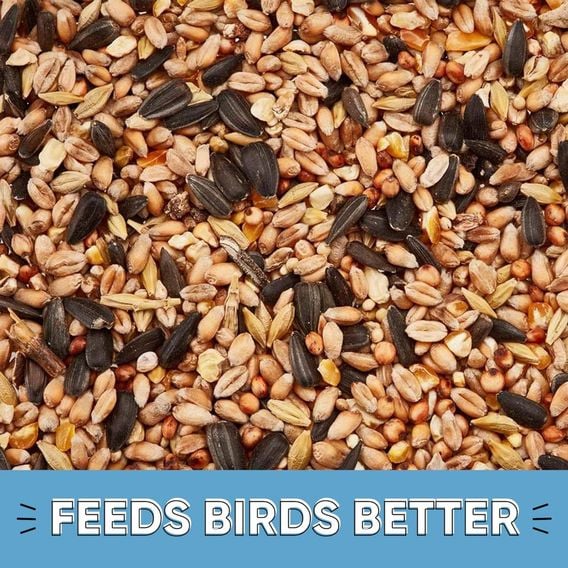 Happy Beaks - All Season All Year Bird Mix